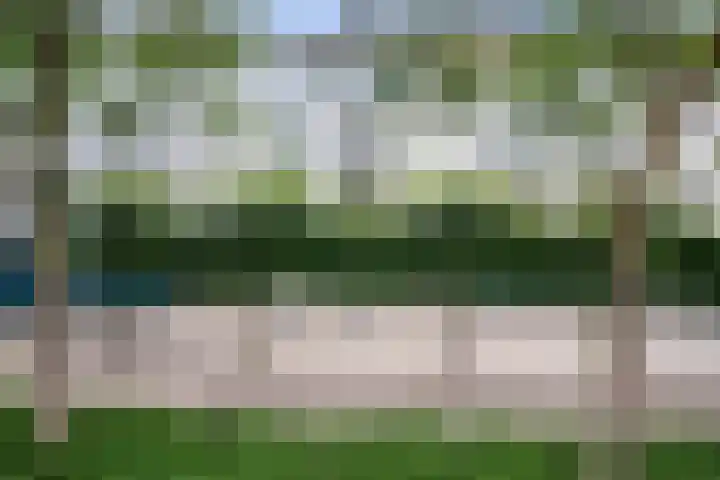 Pennstate 41 Ede thumbnail 44