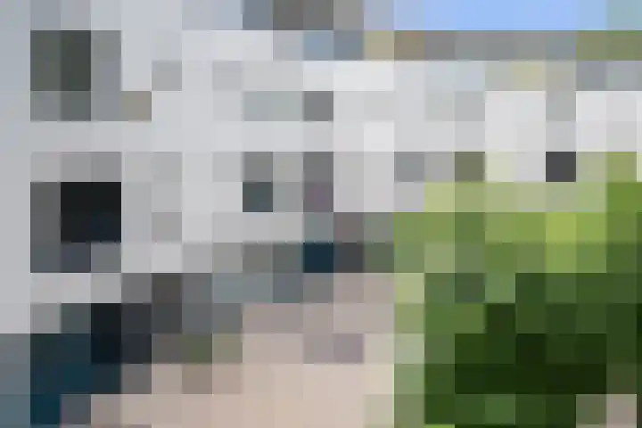 Pennstate 41 Ede thumbnail 45