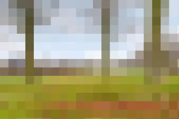 Pennstate 41 Ede thumbnail 47