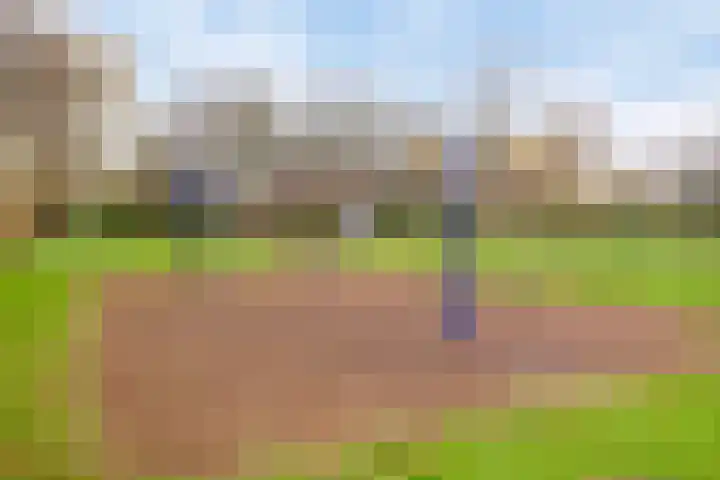 Pennstate 41 Ede thumbnail 48