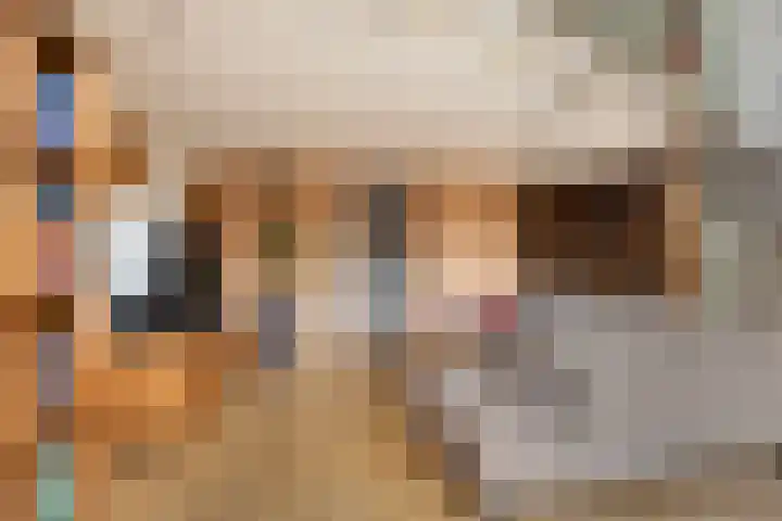 Pennstate 41 Ede thumbnail 5