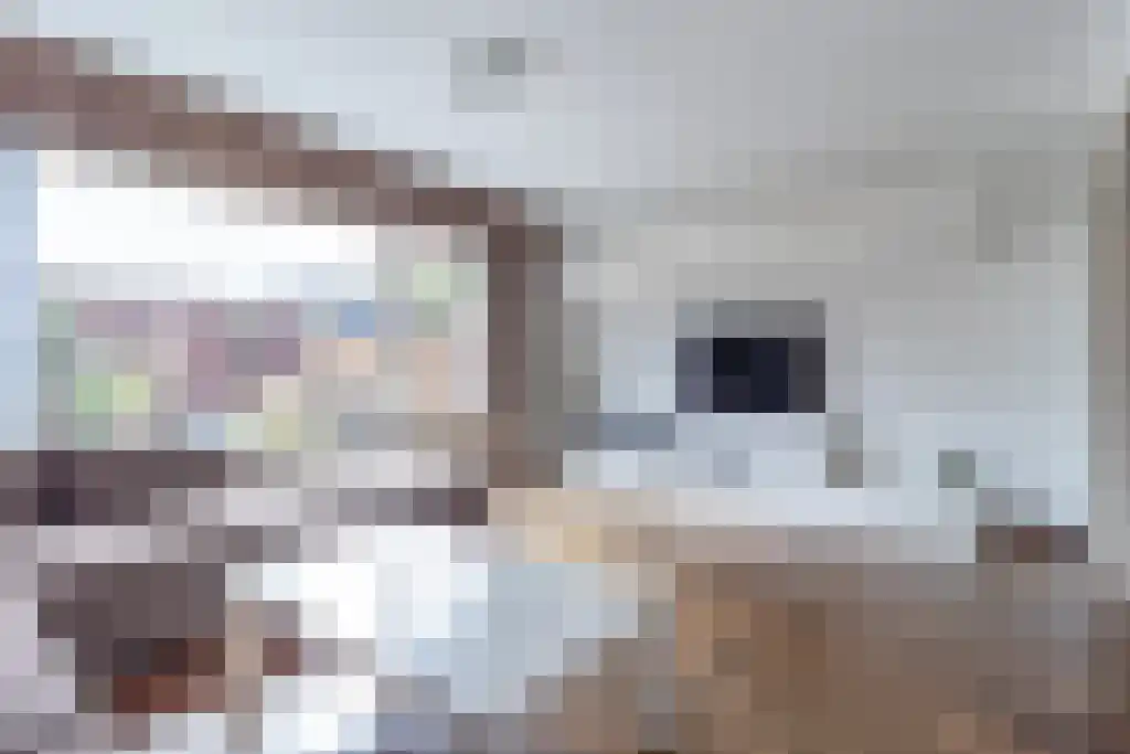 Pennyhof 18 Amsterdam thumbnail 4