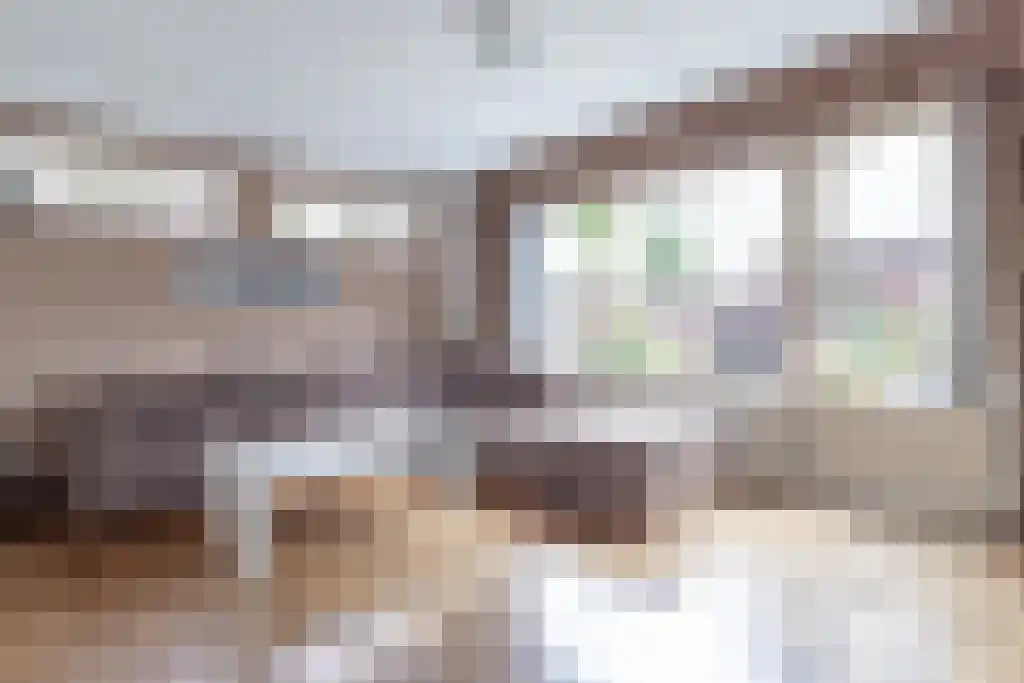 Pennyhof 18 Amsterdam thumbnail 6