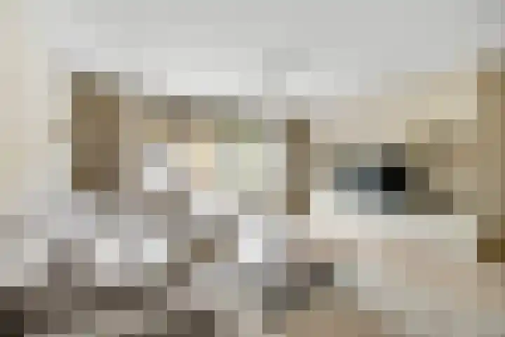 Pensionaris 22 Brielle thumbnail 10