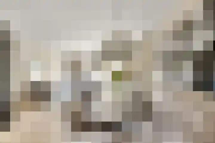 Pensionaris 22 Brielle thumbnail 11