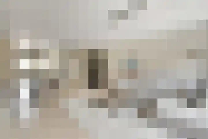 Pensionaris 22 Brielle thumbnail 12