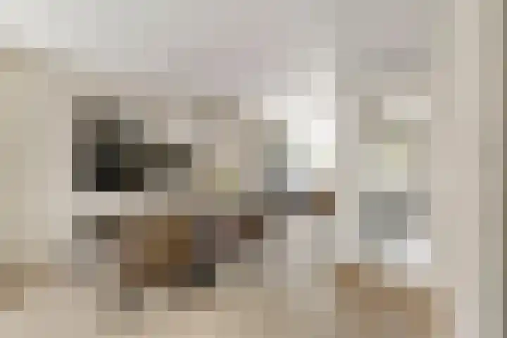 Pensionaris 22 Brielle thumbnail 14