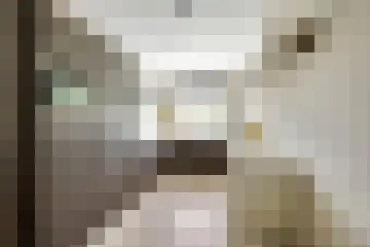 Pensionaris 22 Brielle thumbnail 15