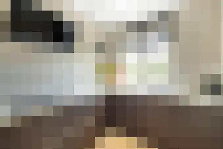Pensionaris 22 Brielle thumbnail 16