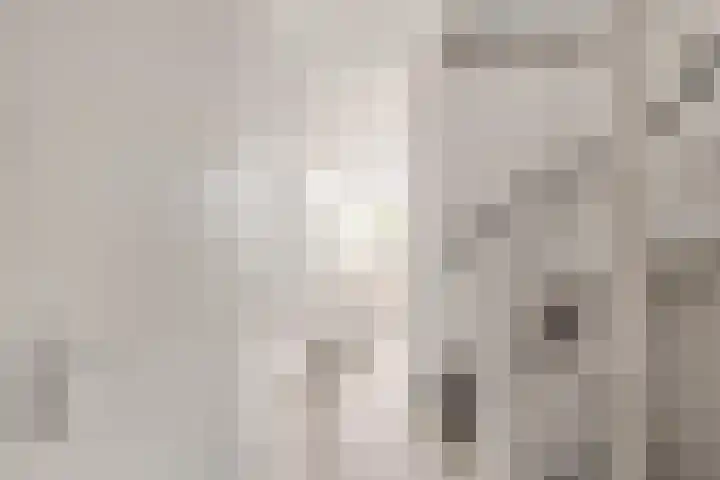 Pensionaris 22 Brielle thumbnail 19