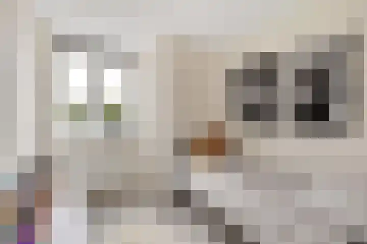 Pensionaris 22 Brielle thumbnail 20