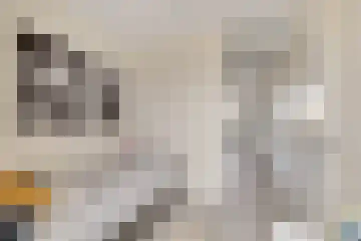 Pensionaris 22 Brielle thumbnail 21