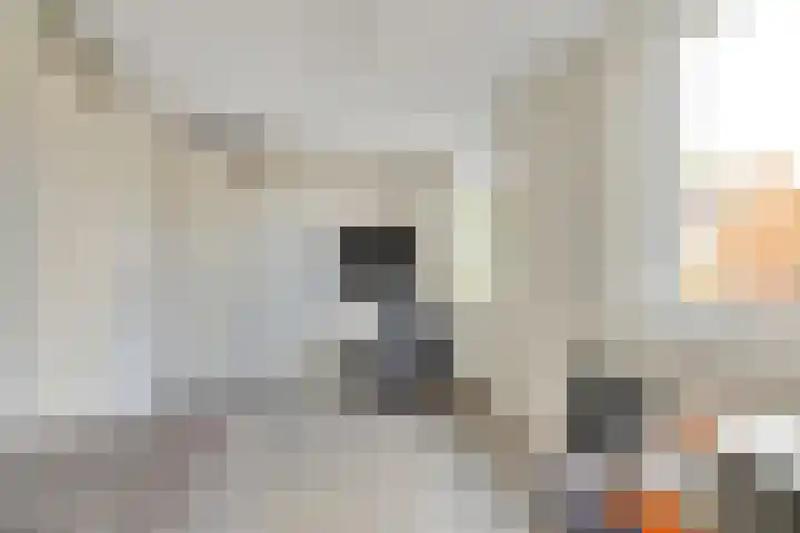 Pensionaris 22 Brielle thumbnail 23