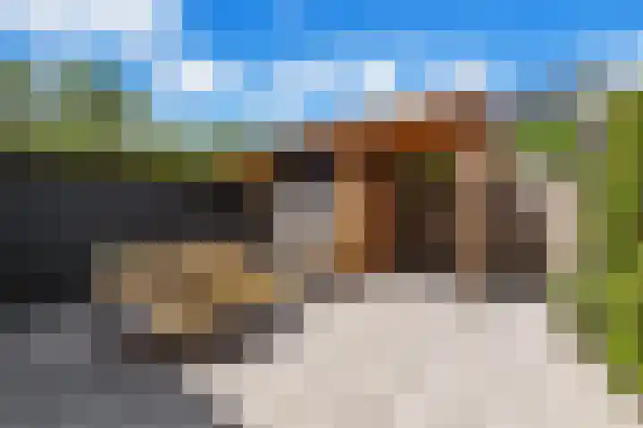 Pensionaris 22 Brielle thumbnail 4
