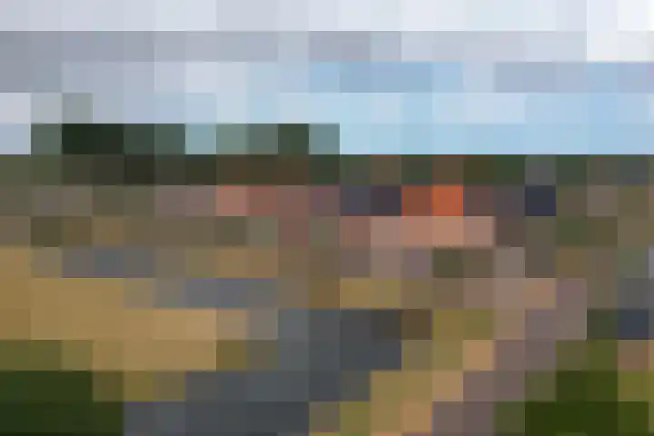 Pensionaris 22 Brielle thumbnail 47