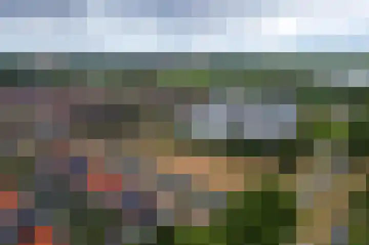 Pensionaris 22 Brielle thumbnail 51