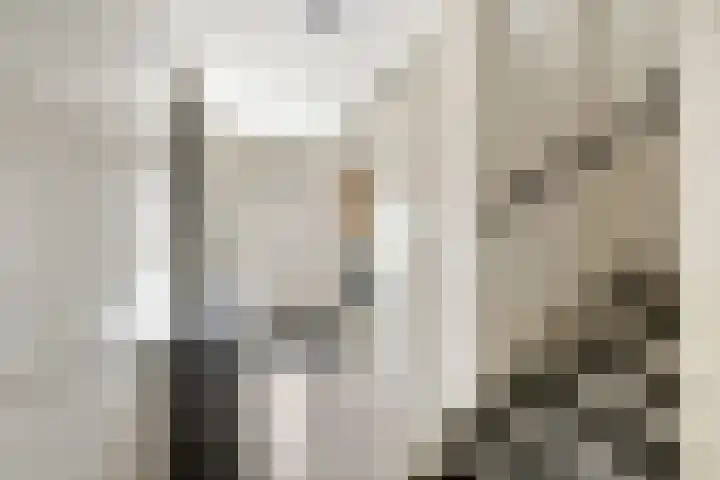 Pensionaris 22 Brielle thumbnail 9