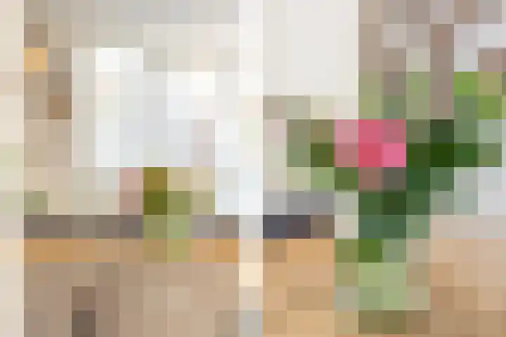 Pensionaris 6 Brielle thumbnail 14