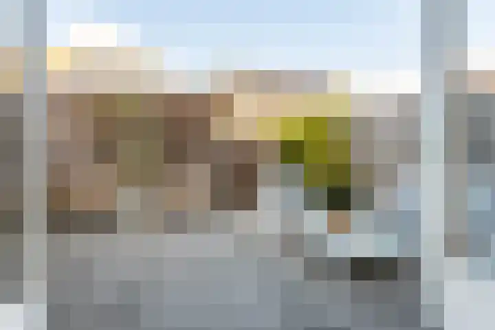 Pensionaris 6 Brielle thumbnail 37