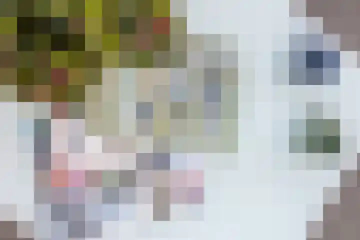 Pensionaris 6 Brielle thumbnail 39
