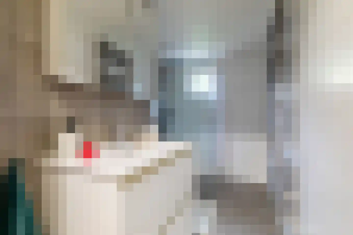 Pensionarispad 8 Raamsdonk thumbnail 25