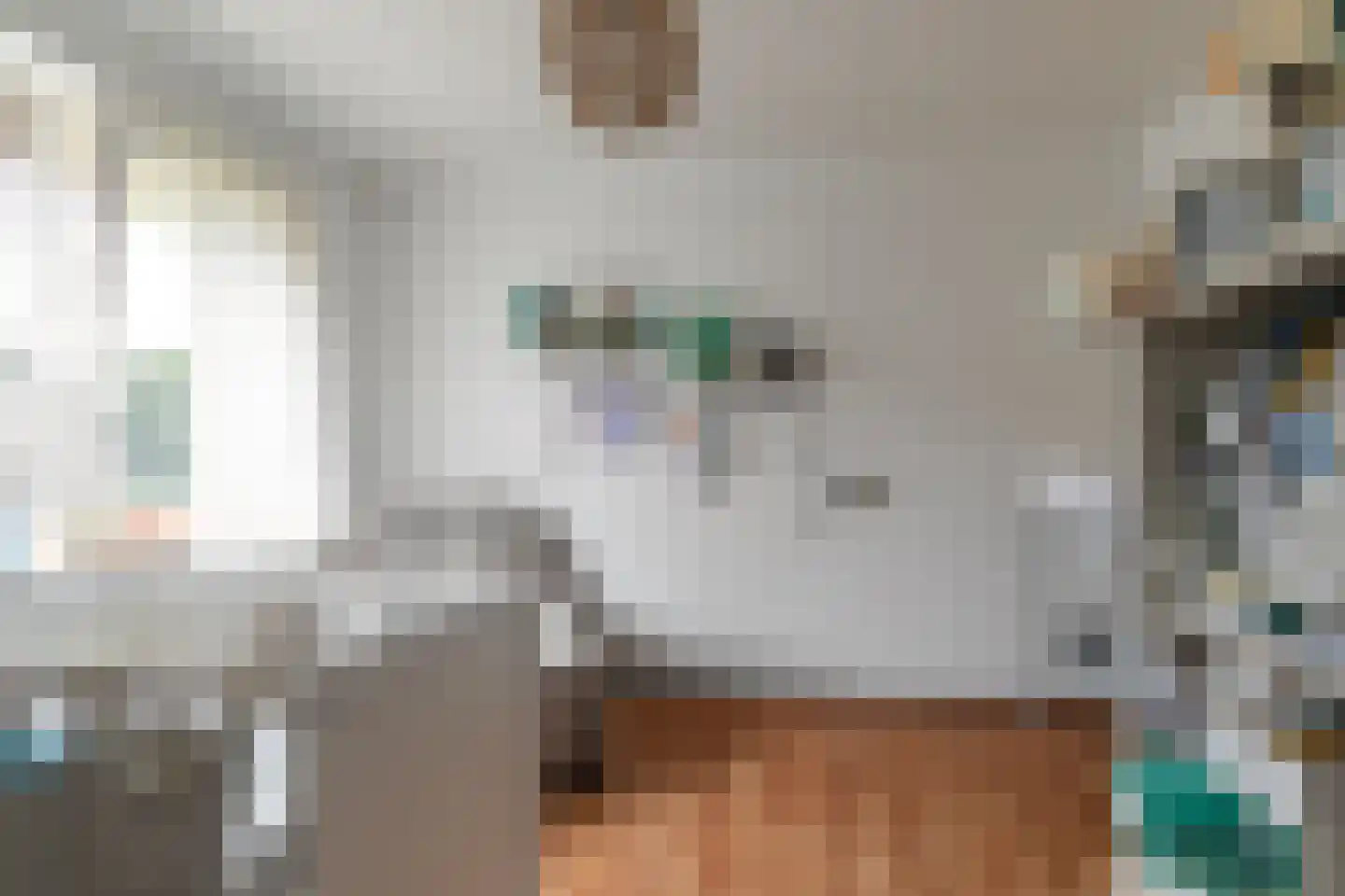 Pensionarispad 8 Raamsdonk thumbnail 31