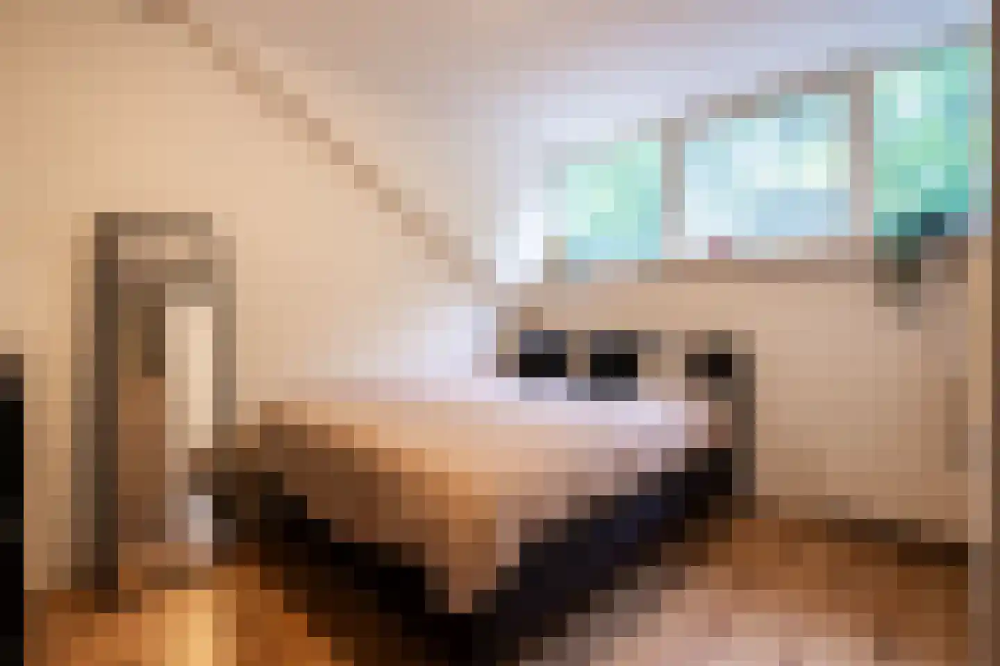 Pensionarisstraat 13 Oss thumbnail 15