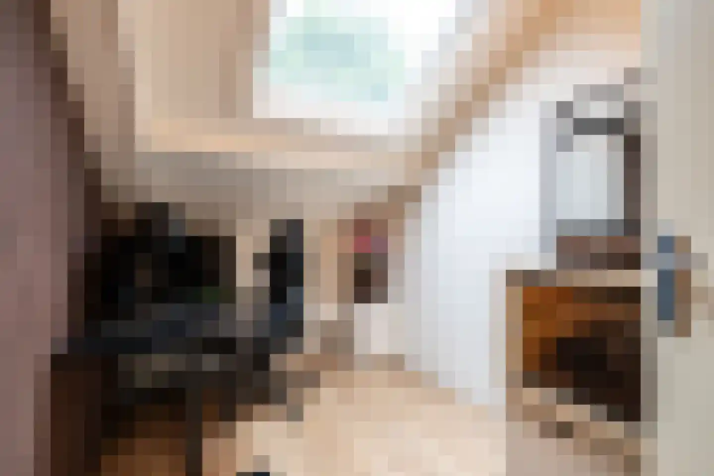 Pensionarisstraat 13 Oss thumbnail 18