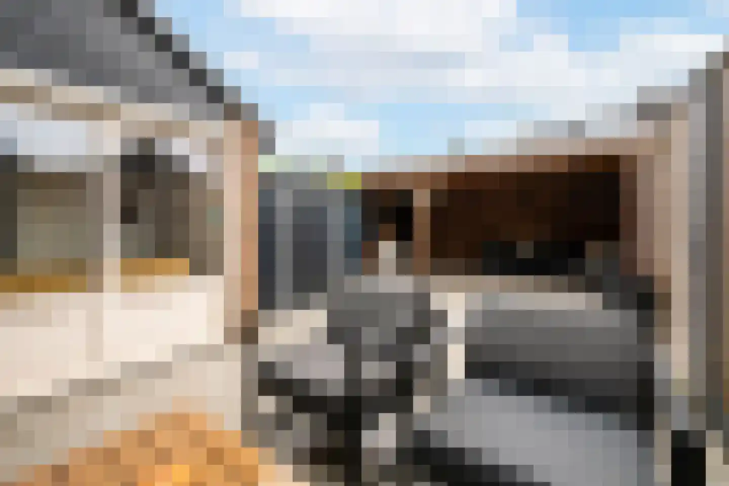 Pensionarisstraat 13 Oss thumbnail 24