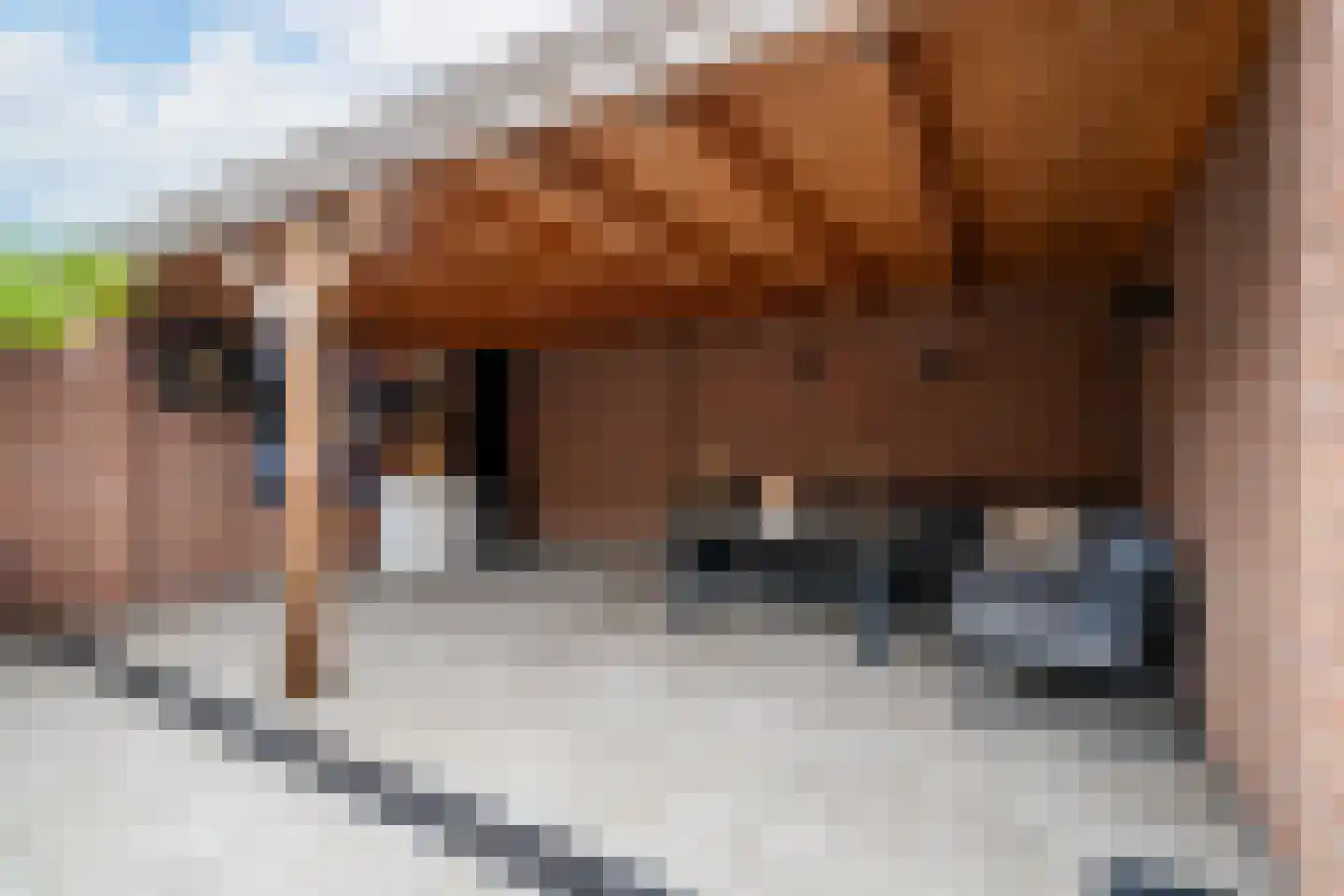 Pensionarisstraat 13 Oss thumbnail 25
