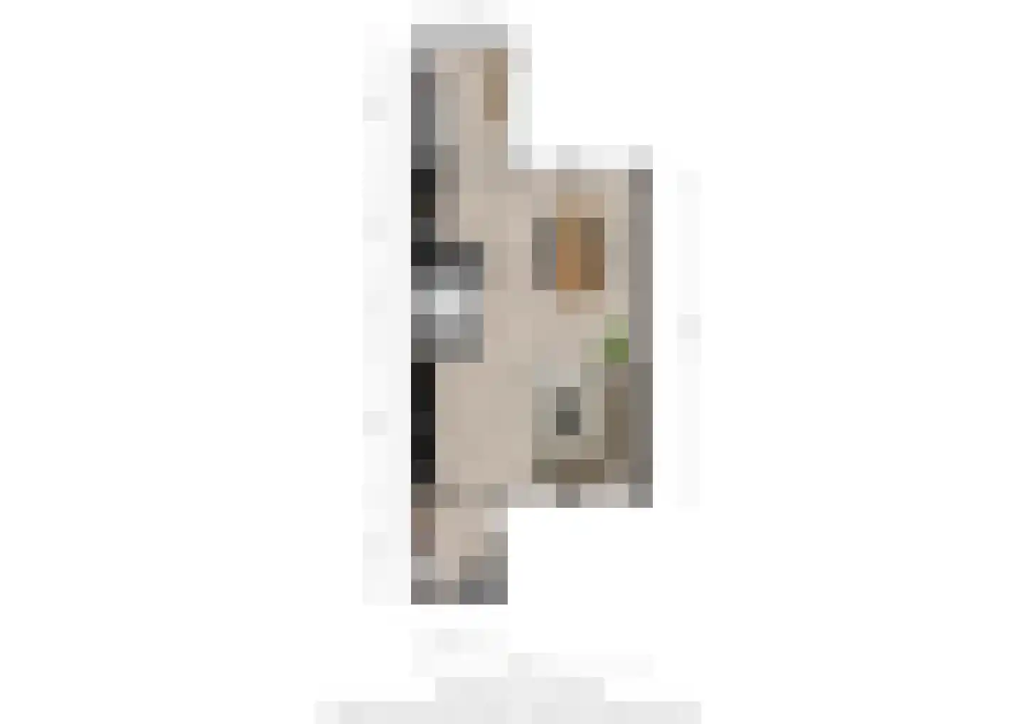 Pensionarisstraat 13 Oss thumbnail 27