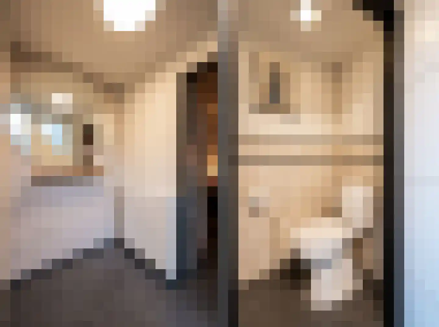 Pensionarisstraat 13 Oss thumbnail 6