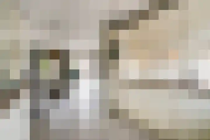 Pensteen 11 Wateringen thumbnail 13