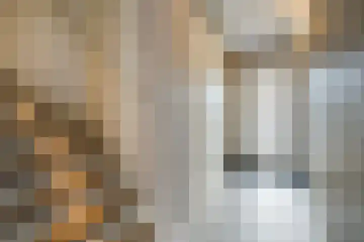Pensteen 11 Wateringen thumbnail 15