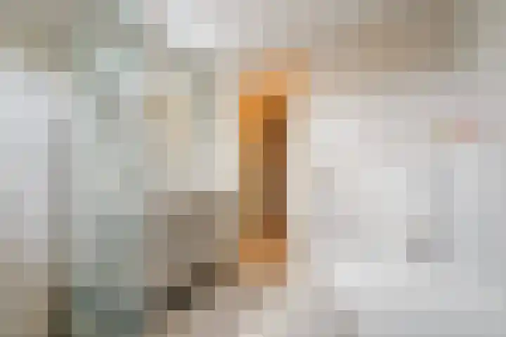Pensteen 11 Wateringen thumbnail 25