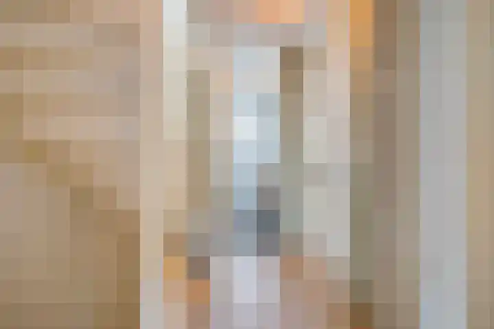 Pensteen 11 Wateringen thumbnail 28
