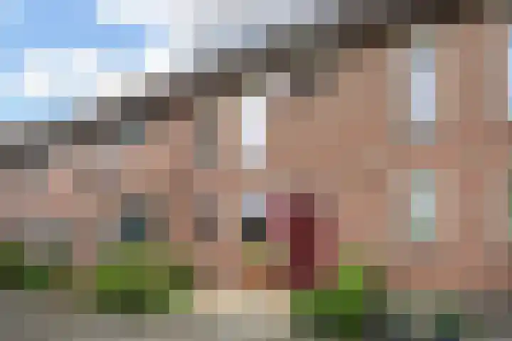 Pensteen 11 Wateringen thumbnail 47