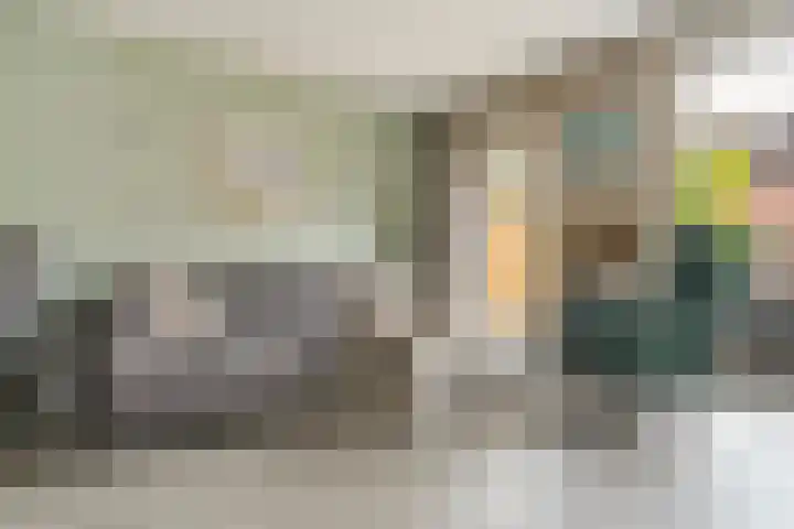 Pensteen 11 Wateringen thumbnail 5