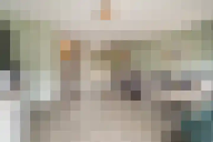 Pensteen 11 Wateringen thumbnail 6