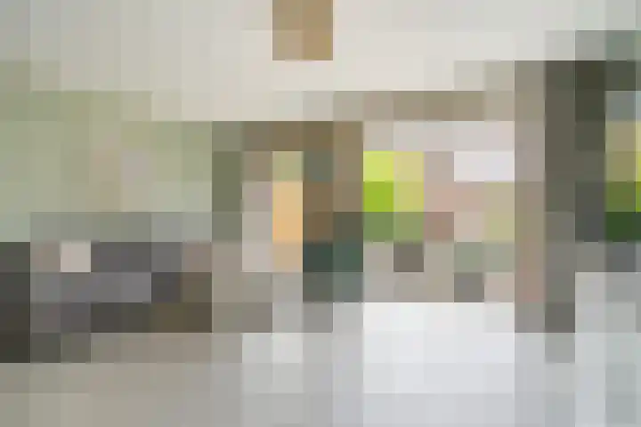 Pensteen 11 Wateringen thumbnail 8