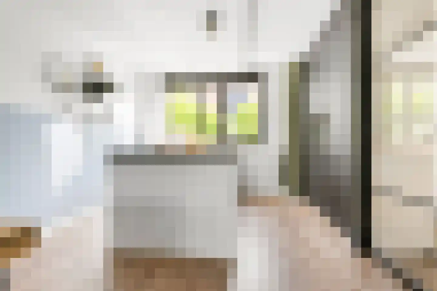 Pentatlon 12 Assendelft thumbnail 11