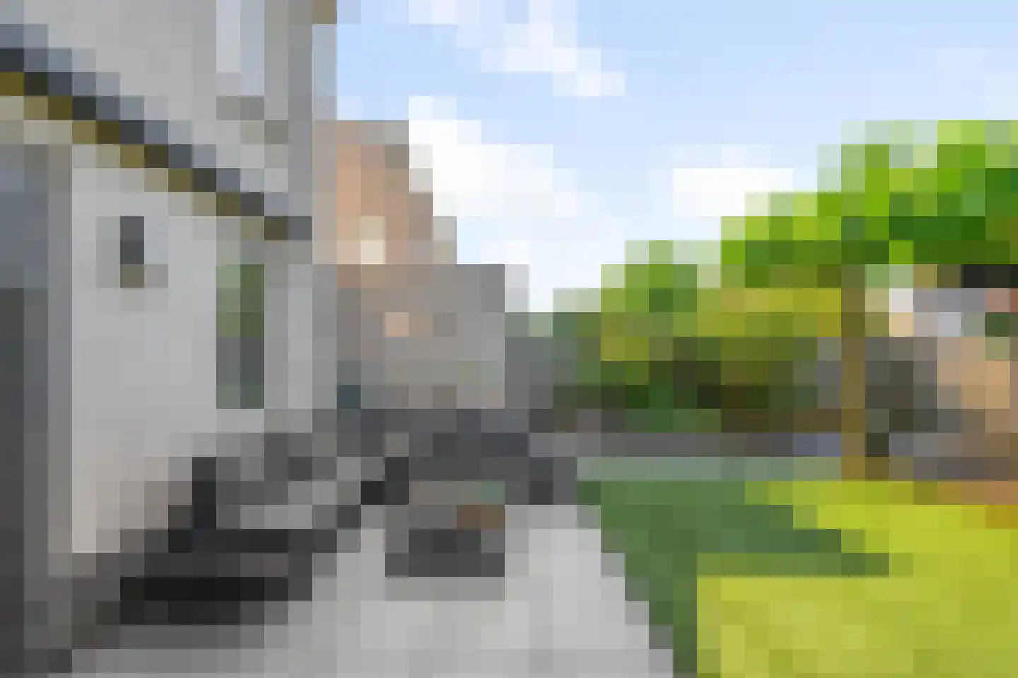 Pentatlon 12 Assendelft thumbnail 21