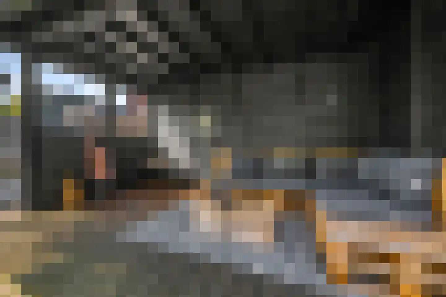 Pentatlon 12 Assendelft thumbnail 23