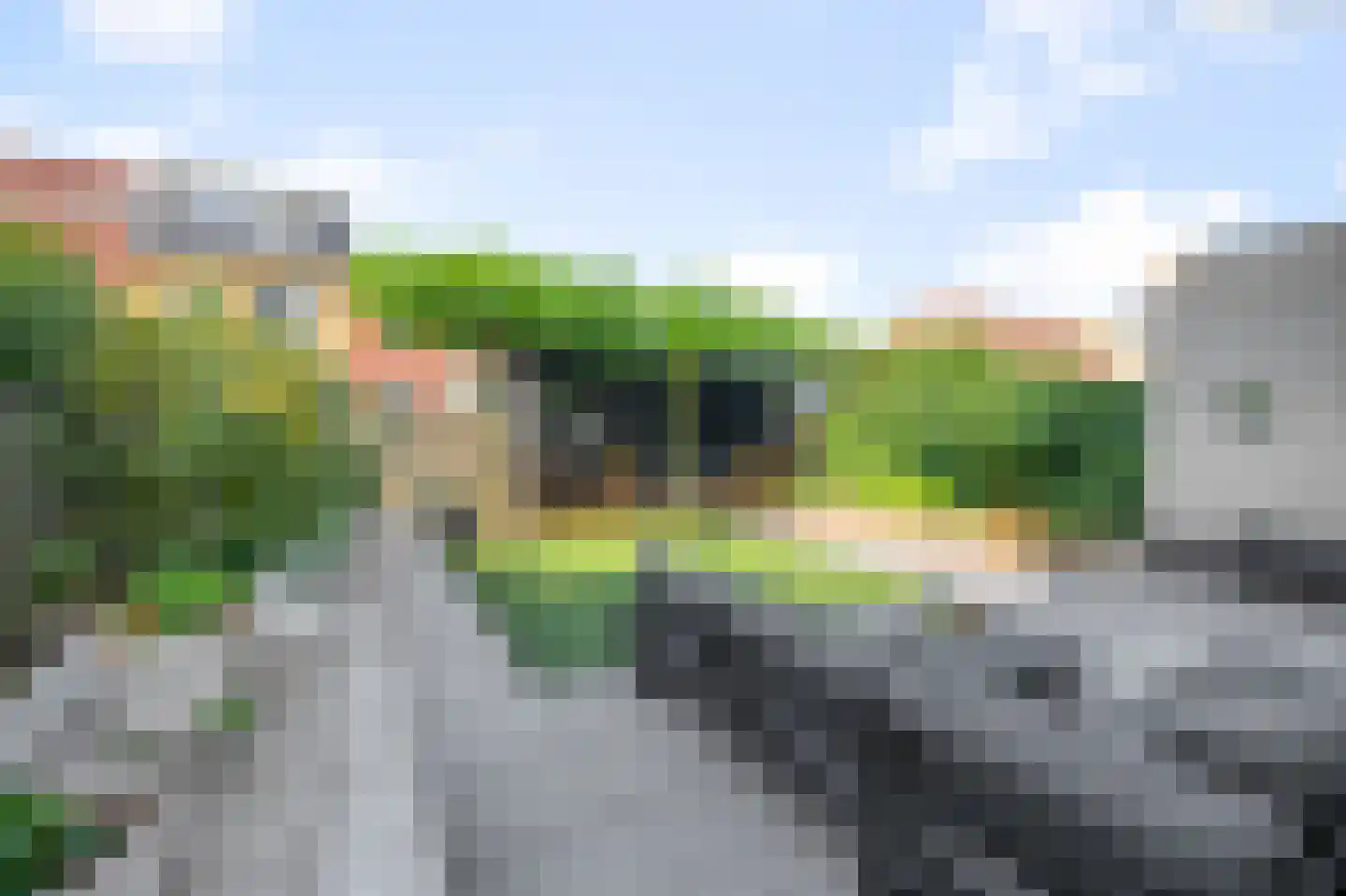 Pentatlon 12 Assendelft thumbnail 27