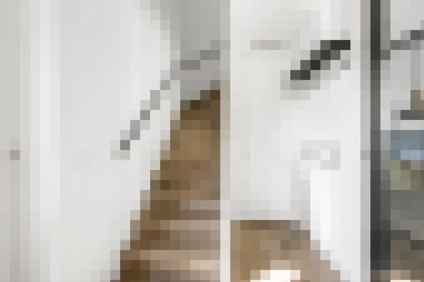 Pentatlon 12 Assendelft thumbnail 29
