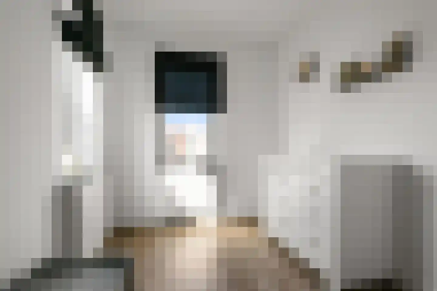 Pentatlon 12 Assendelft thumbnail 42
