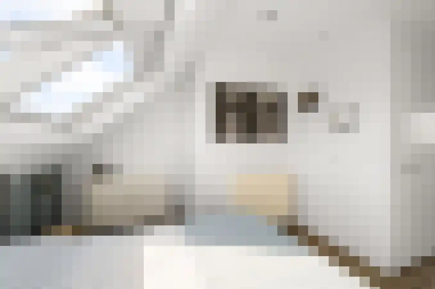 Pentatlon 12 Assendelft thumbnail 46
