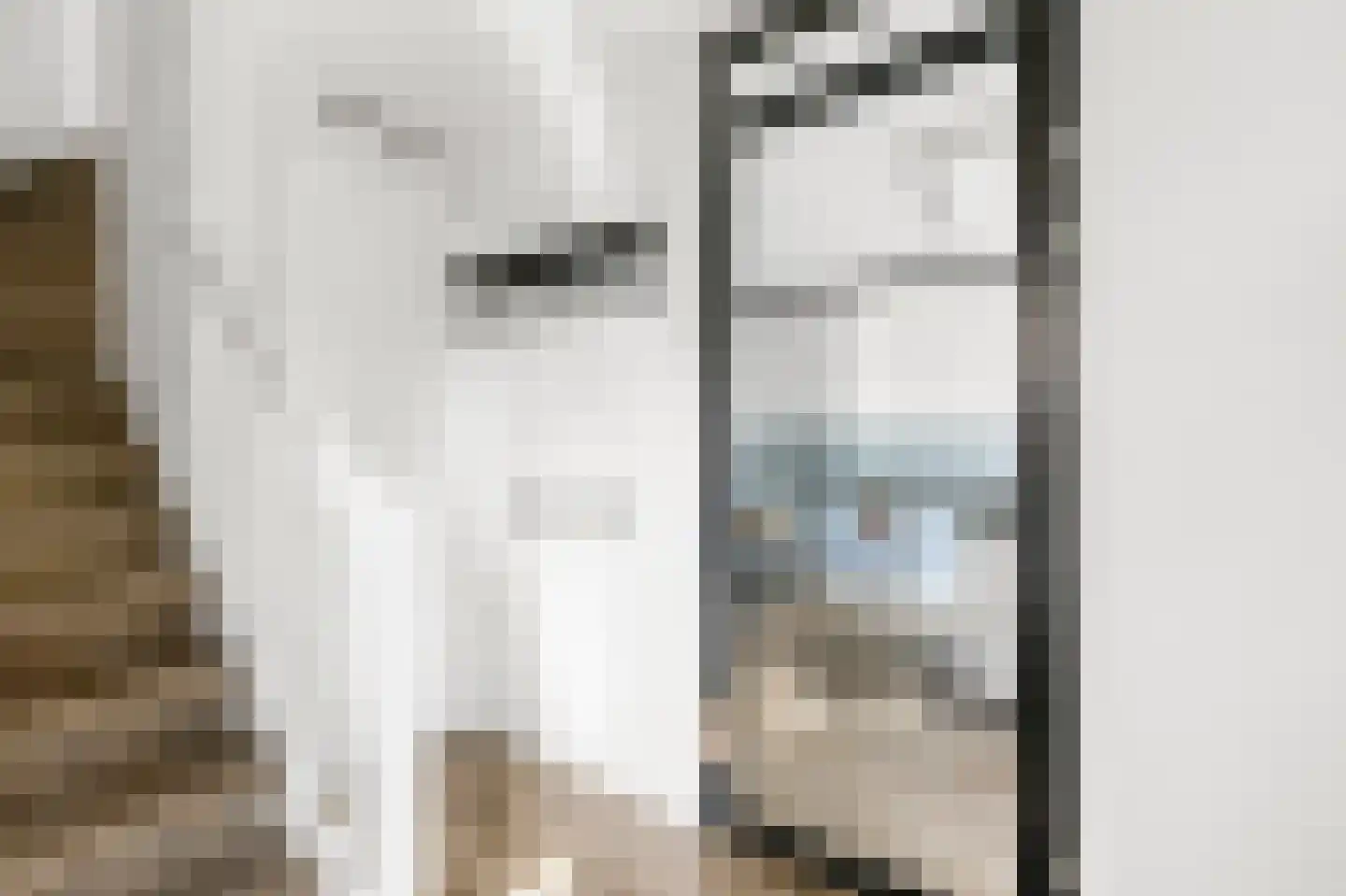 Pentatlon 12 Assendelft thumbnail 7