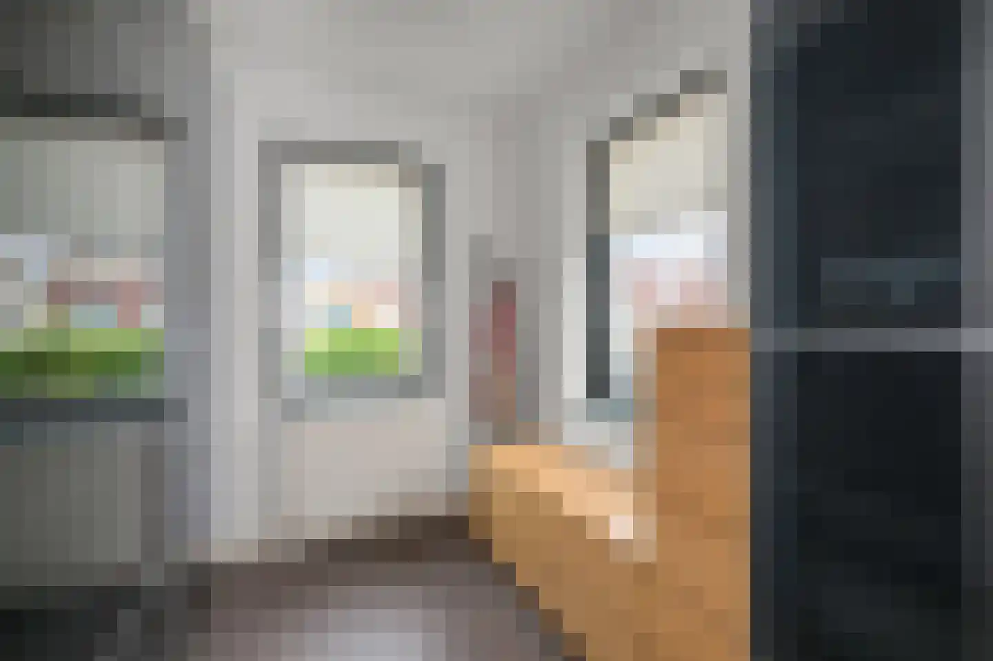 Pentatlon 14 Assendelft thumbnail 21