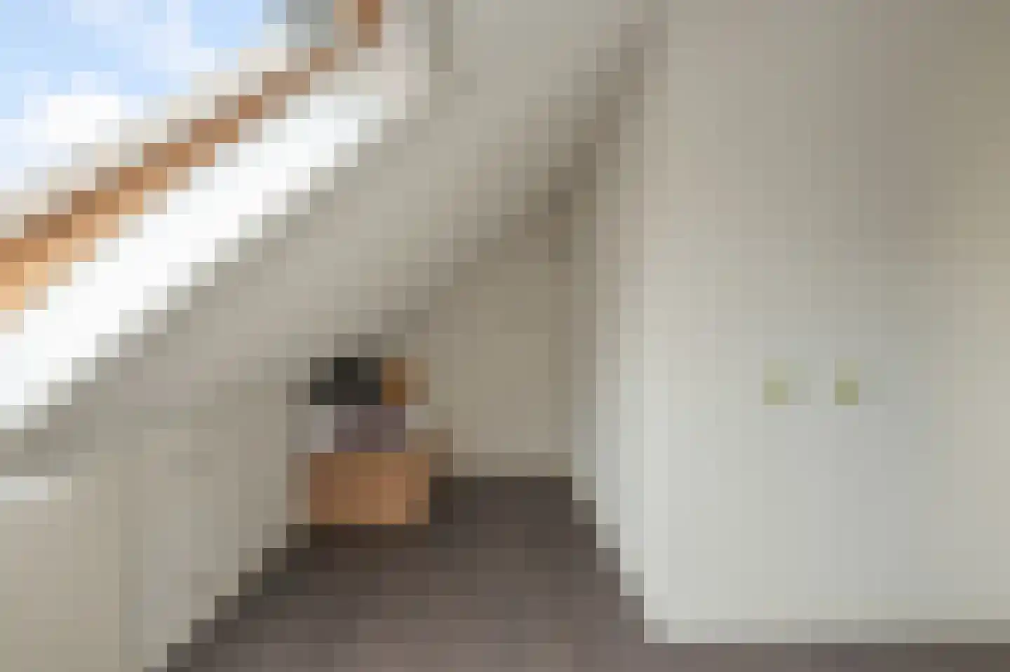 Pentatlon 14 Assendelft thumbnail 26